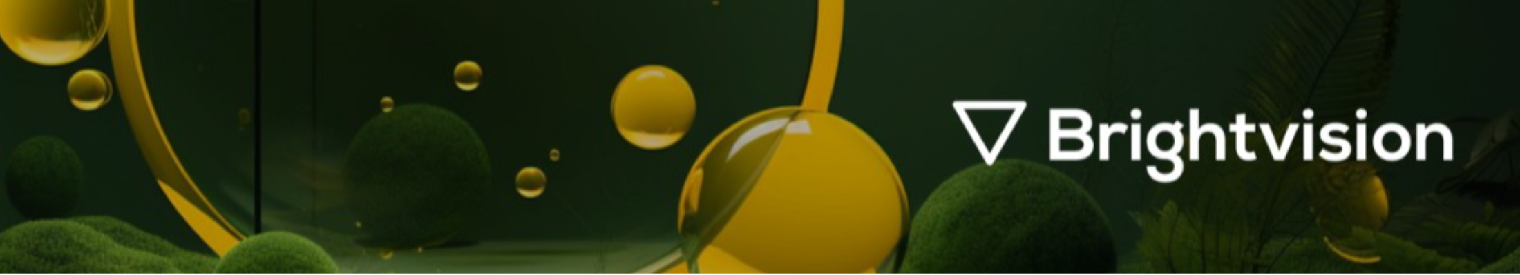 Brightvision AB