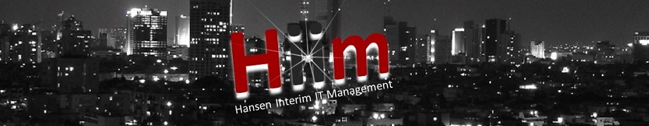 Hansen Interim IT Management