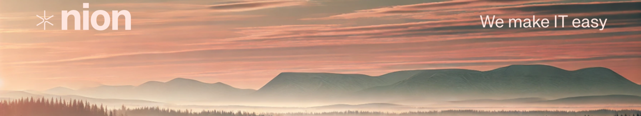 Nion AB