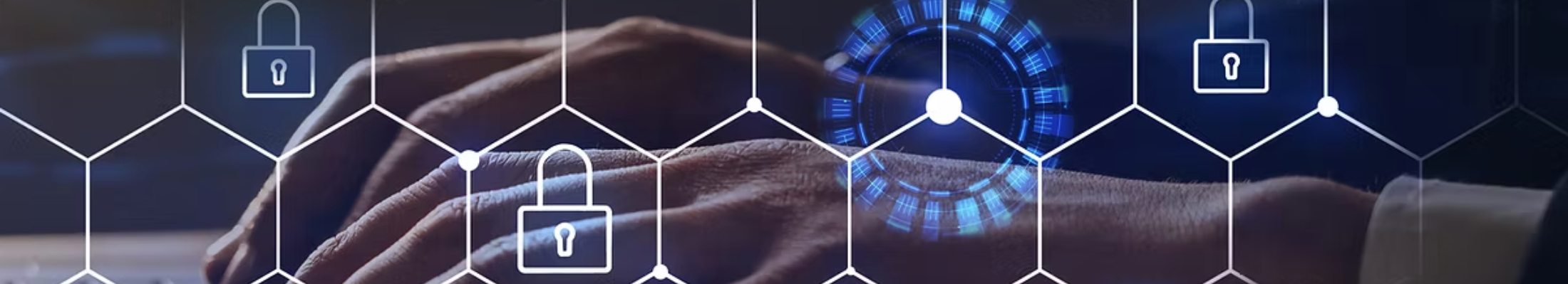 Arctic Owl Cyber Security