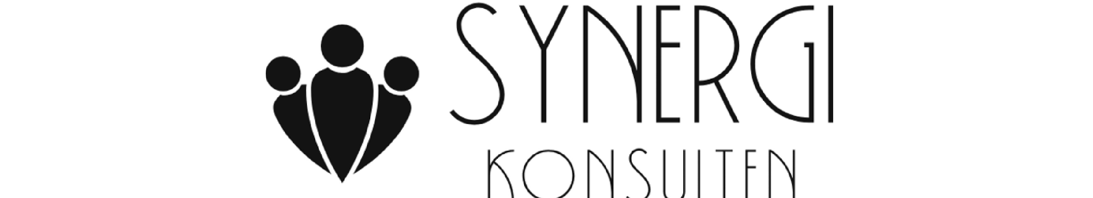 Synergikonsulten Erika Boltenstern AB