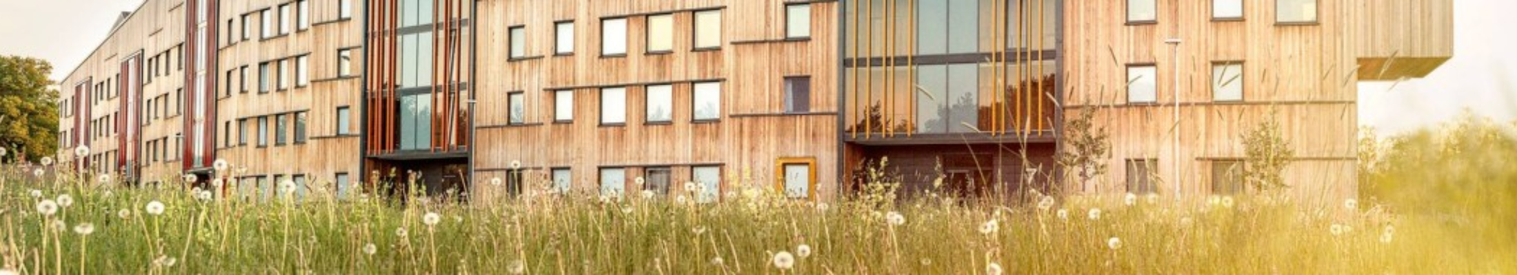 SWECO Sverige Holding  AB