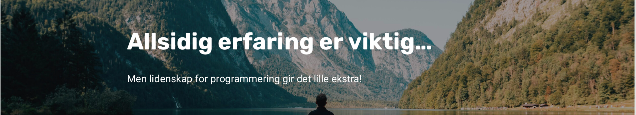 Programmere AS