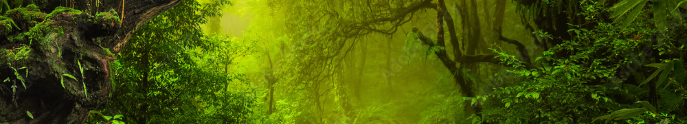 Good Soil Consulting AB