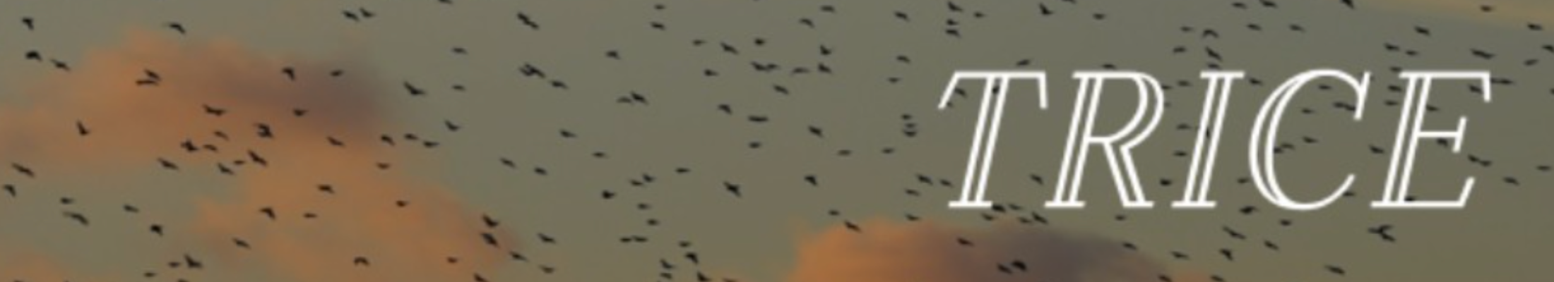 Trisec Automation AB