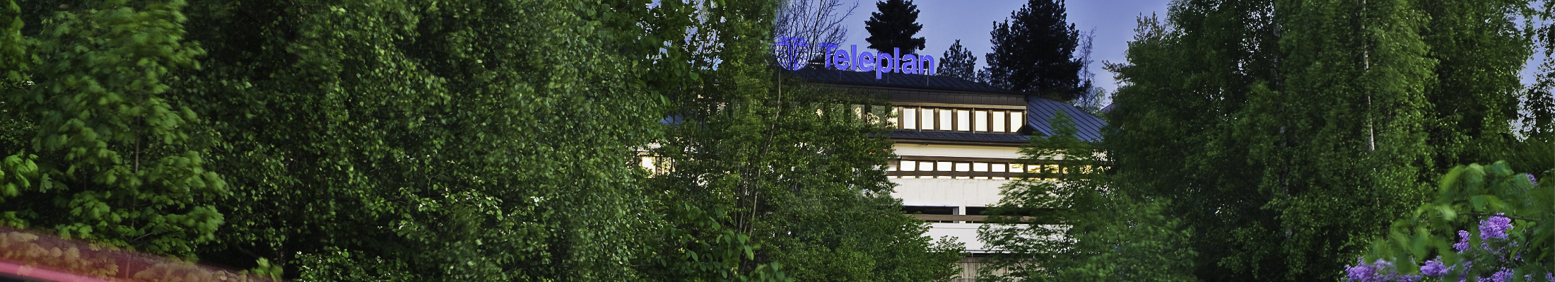 Teleplan Consulting AS