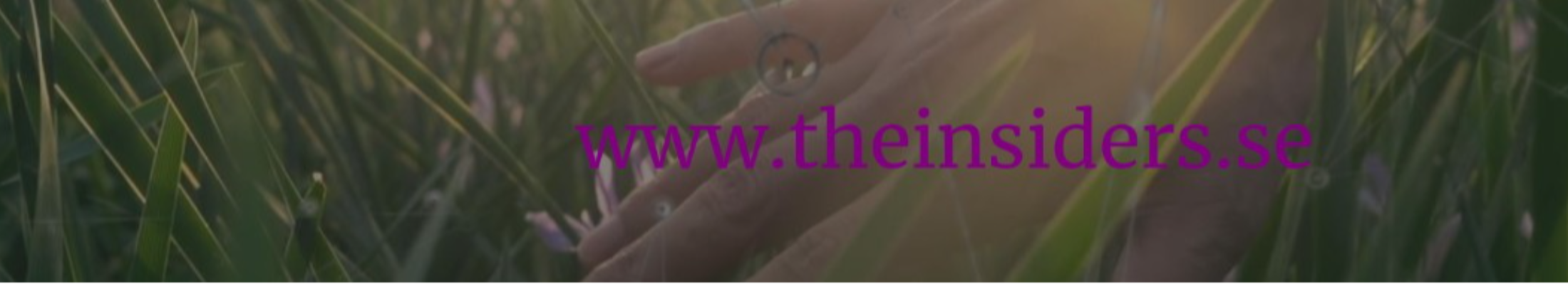 The Insiders Hub AB