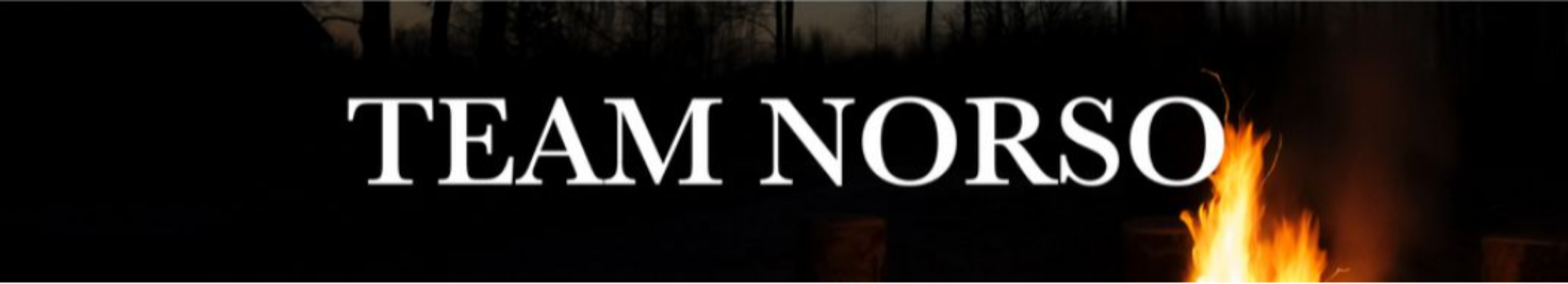 TEAM NORSO AS