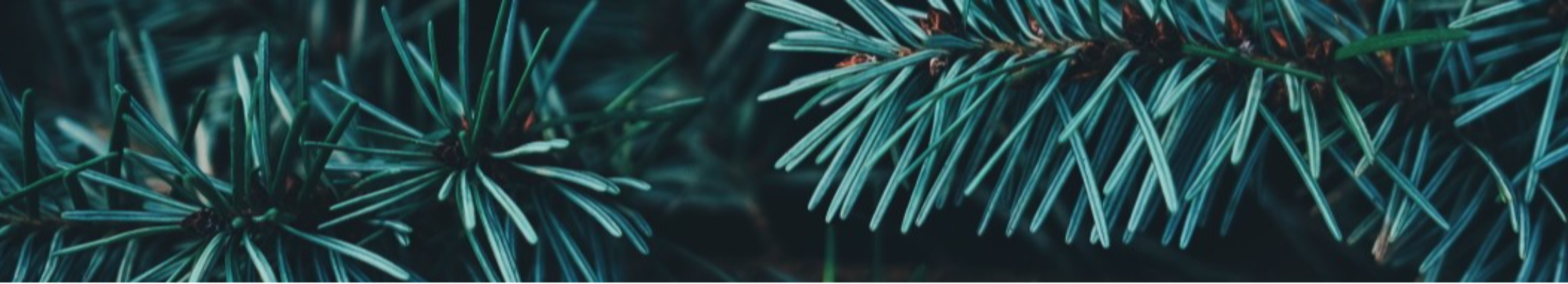 Ferroman Engineering AB