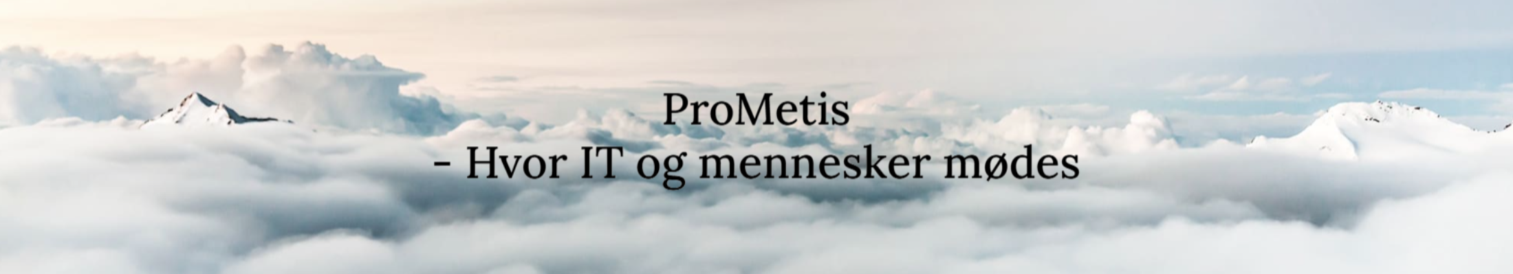 ProMetis ApS